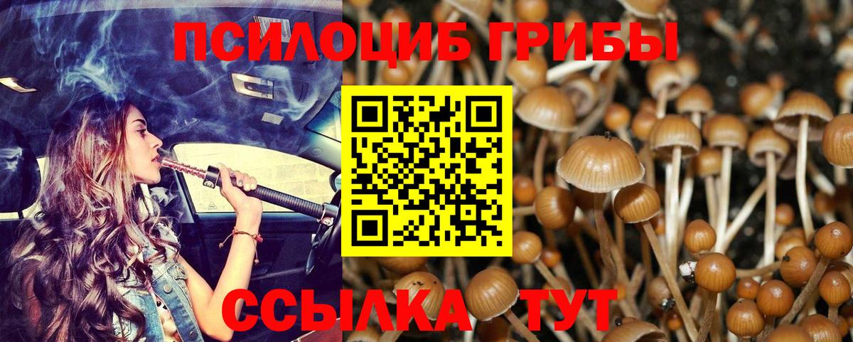 Луховицы  Галлюциногенные грибы Cubensis  хочу наркоту  Вход с VPN 
