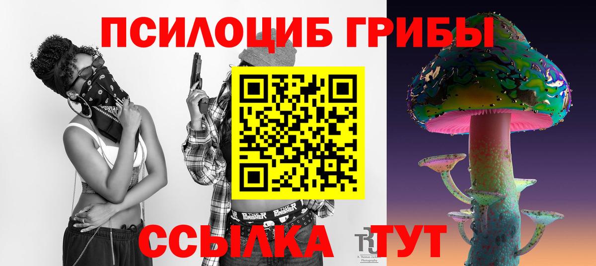 Галлюциногенные грибы Psilocybine cubensis Луховицы